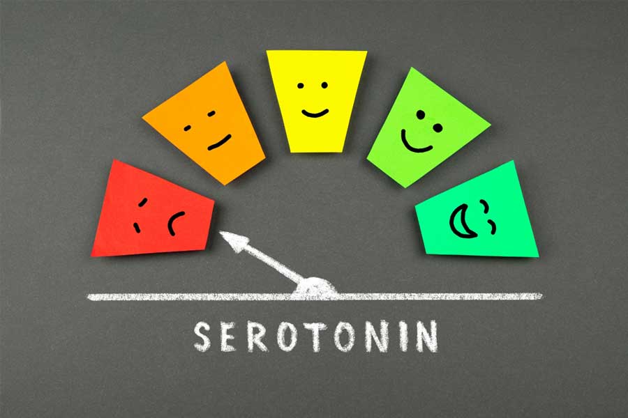 سروتونین چیست و چرا به آن هورمون شادی می‌گویند؟